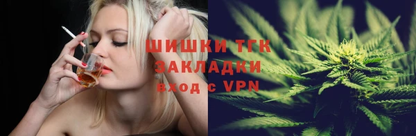 ГАЛЛЮЦИНОГЕННЫЕ ГРИБЫ Абаза