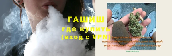 сатива Алзамай