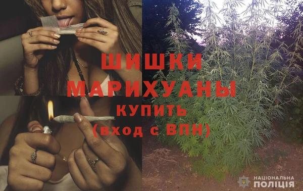 ГАЛЛЮЦИНОГЕННЫЕ ГРИБЫ Абаза